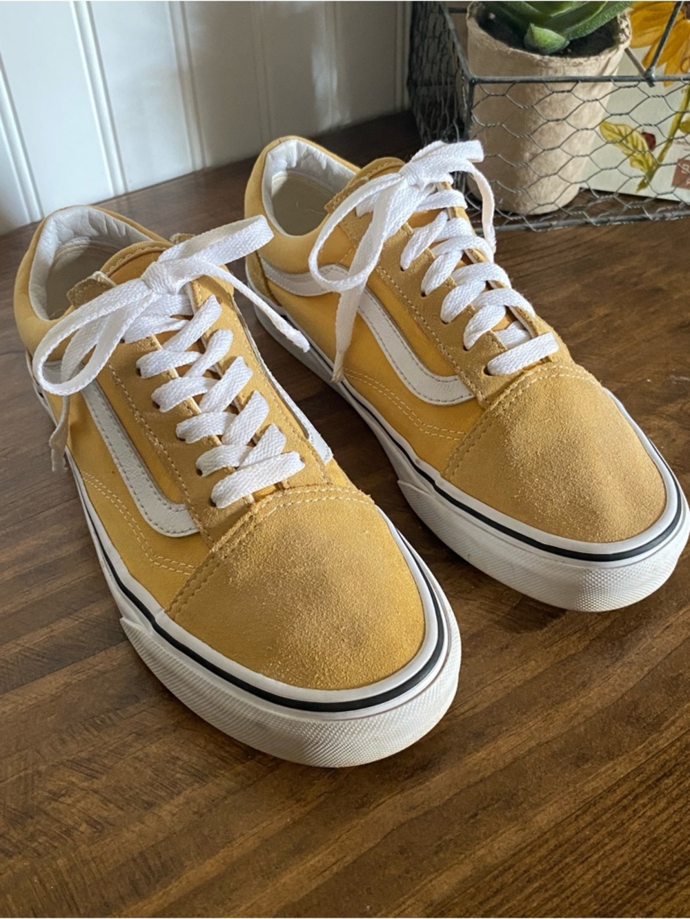 VANS - pale mustard yellow low top sneakers with white laces
